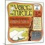 John Fahey - The Voice of the Turtle-null-Mounted Art Print