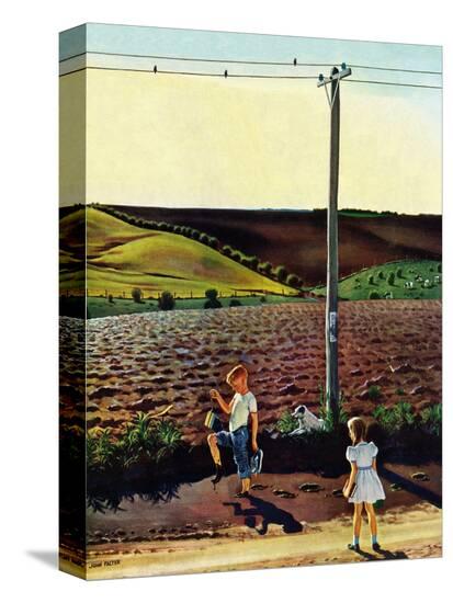 Stretched Canvas Print, , large