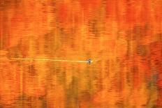 The Autumn Pond-John Fan-Giclee Print