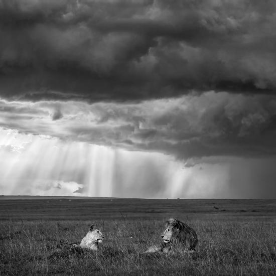 Photographic Print, , large