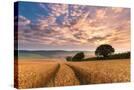 Stretched Canvas