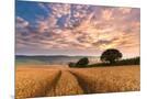 Wood Mount