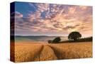 Stretched Canvas