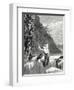 John Fitch First Inventor of Steamboats in America Plunges to His Death in Philadelphia-null-Framed Giclee Print