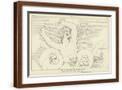 Brown Frame