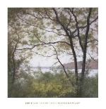 Lakeside Trees I-John Folchi-Mounted Art Print