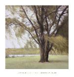 Lakeside Trees I-John Folchi-Framed Art Print