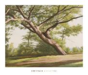 Lakeside Trees I-John Folchi-Mounted Art Print