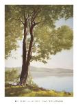 Lakeside Trees I-John Folchi-Mounted Art Print