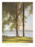 Lakeside Trees I-John Folchi-Framed Art Print