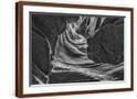 Chelsea Espresso