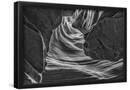 Essential Black