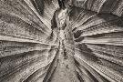 Just the Print