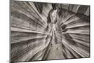 Wood Mount