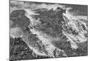 Wood Mount