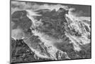 Wood Mount