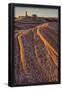 Essential Black