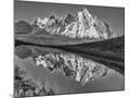 Wood Mount