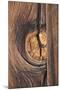 Wood Mount