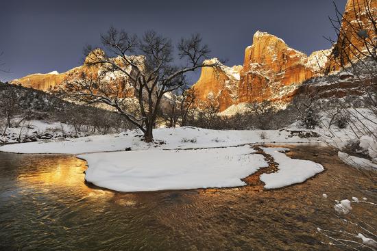 Photographic Print, , large