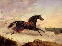 Arabs Chasing a Loose Arab Horse in an Eastern Landscape-John Frederick Herring I-Giclee Print
