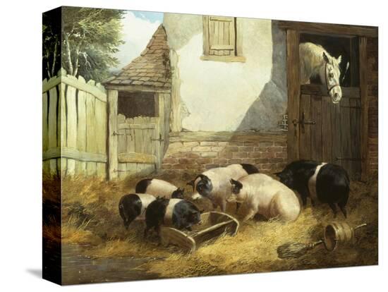Stretched Canvas Print, , large