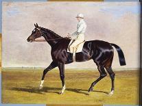 The Suffolk Hunt - Going to Cover Near Herringswell-John Frederick Herring I-Laminated Giclee Print