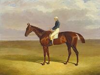 Margrave' with James Robinson Up, 1833-John Frederick Herring I-Giclee Print