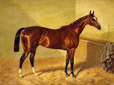Orlando, a Bay Racehorse in a Loosebox, 1845