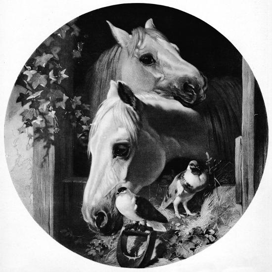 Photographic Print, , large