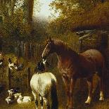 A Farmyard Scene-John Frederick Herring II-Giclee Print