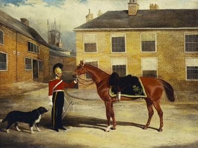 An Officer of the 6th Dragoon Guards, Caribineers with His Mount in the Barrack's Stable Yard