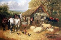 Busy Farmyard-John Frederick Herring II-Giclee Print