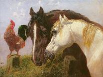 'Matilda' with Robinson, 1827-John Frederick Herring Jnr-Stretched Canvas