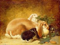 Farmyard Scene-John Frederick Herring Jnr-Giclee Print