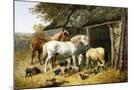 Wood Mount