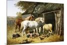 Wood Mount