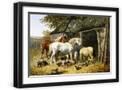Black Frame