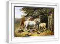 White Frame