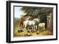 Black Frame