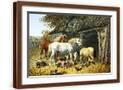Brown Frame