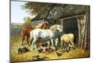 Wood Mount