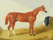 Jerry, the Winner of the Great St Leger at Doncaster, 1824-John Frederick Herring Snr-Stretched Canvas