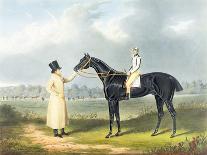 Elis, 1836 (Oil on Panel)-John Frederick Herring Snr-Giclee Print