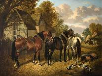 Feeding the Horses (Horses, Figures and Poultry), 1858 (Oil on Canvas)-John Frederick Herring Snr-Giclee Print