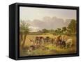 Canvas Black