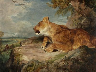 The Lioness, C.1824-27