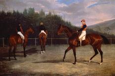 The Prince Consort On Horseback, 1841-John Frederick Senior Herring-Framed Stretched Canvas