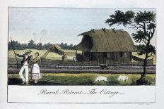 Rural Retreat, the Cottage, 1813-John Gabriel Stedman-Giclee Print