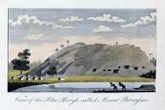 View of the Settlement Called the Jew's Savannah, 1813-John Gabriel Stedman-Giclee Print